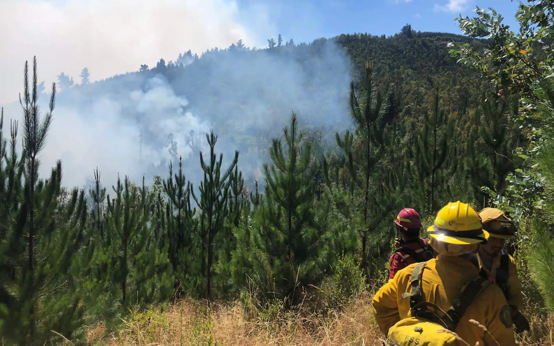 sierra incendios 1